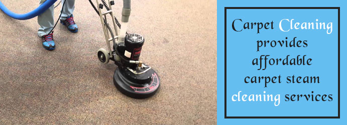 Back2new Carpet Cleaning Brisbane